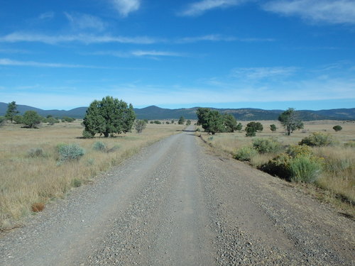 GDMBR: Heading Due West on NF-28, Gila NF, NM.